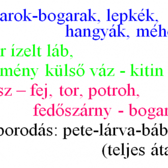 Készítsünk memóriavázlatot