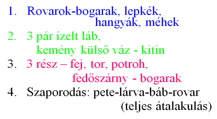 Készítsünk memóriavázlatot