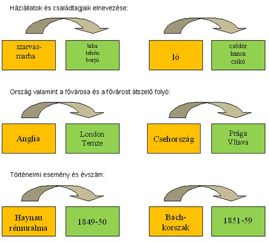 Nem is tanulunk, „csak” játszunk! 3.